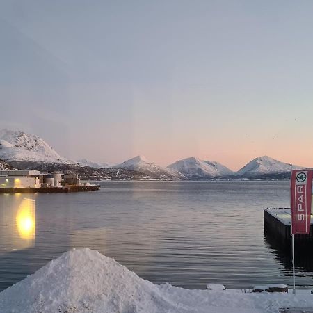 Aurora Harbour House Villa Lodingen Exterior foto